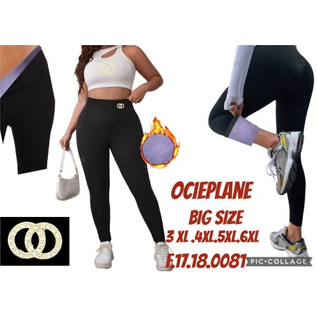 LEGINSY OCIEPLANY