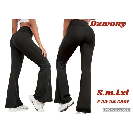LEGINSY
